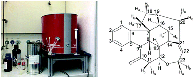 Graphical abstract: Desktop NMR for structure elucidation and identification of strychnine adulteration