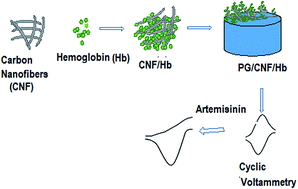 Graphical abstract: Electrochemical catalysis of artemisinin on hemoglobin functionalized carbon nanofibers