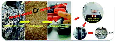 Graphical abstract: Rapid sample preparation with multi-channel focused infrared micro-ashing prior to determination of chromium in gelatin capsules by electrothermal atomic absorption spectrometry