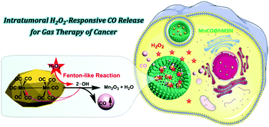 Graphical abstract: Intratumoral H2O2-triggered release of CO from a metal carbonyl-based nanomedicine for efficient CO therapy