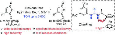 Graphical abstract: Asymmetric hydrogenation of maleic anhydrides catalyzed by Rh/bisphosphine-thiourea: efficient construction of chiral succinic anhydrides