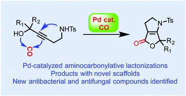 Graphical abstract: Rapid synthesis of bicyclic lactones via palladium-catalyzed aminocarbonylative lactonizations