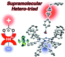Graphical abstract: Formation of supramolecular hetero-triads by controlling the hydrogen bonding of conjugate bases with a diprotonated porphyrin based on electrostatic interaction