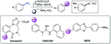 Graphical abstract: A one-pot radioiodination of aryl amines via stable diazonium salts: preparation of 125I-imaging agents