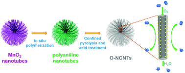 Graphical abstract: Construction of a porous nitrogen-doped carbon nanotube with open-ended channels to effectively utilize the active sites for excellent oxygen reduction reaction activity