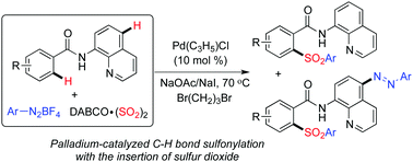 Graphical abstract: Palladium-catalyzed direct sulfonylation of C–H bonds with the insertion of sulfur dioxide