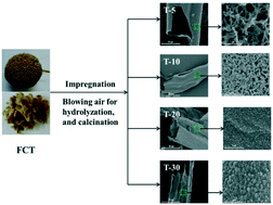 Graphical abstract: Biomimetic synthesis of micro/nanostructured tubular TiO2 photocatalyst: adjusting the shape of the outer tube wall from nanoparticles to interlaced nanofibers and nanobelts