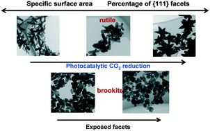 Graphical abstract: Amino acid-assisted controlling the shapes of rutile, brookite for enhanced photocatalytic CO2 reduction