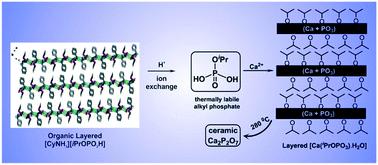 Graphical abstract: Intriguing structural chemistry of neutral and anionic layered monoalkylphosphates: single-source precursors for high-yield ceramic phosphates