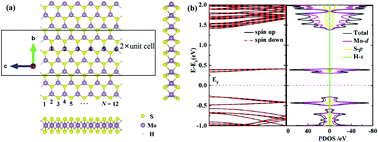 Graphical abstract: Transition-metal doping induces the transition of electronic and magnetic properties in armchair MoS2 nanoribbons