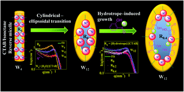 Graphical abstract: Hydrotrope induced structural modifications in CTAB/butanol/water/isooctane reverse micellar systems