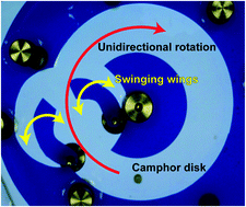 Graphical abstract: Unidirectional motion of a camphor disk on water forced by interactions between surface camphor concentration and dynamically changing boundaries