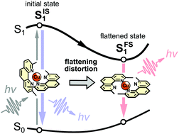 Graphical abstract: Photoinduced structural distortions and singlet–triplet intersystem crossing in Cu(i) MLCT excited states monitored by optically gated fluorescence spectroscopy
