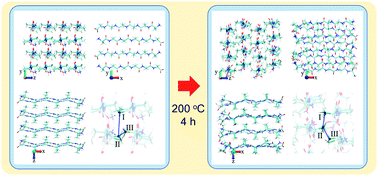 Graphical abstract: Distinct solvent- and temperature-dependent packing arrangements of anti-parallel β-sheet polyalanines studied with solid-state 13C NMR and MD simulation