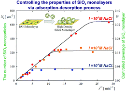 Graphical abstract: Silica nanoparticle monolayers on a macroion modified surface: formation mechanism and stability