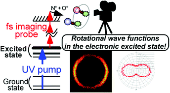 Graphical abstract: Visualizing rotational wave functions of electronically excited nitric oxide molecules by using an ion imaging technique