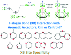 Graphical abstract: Site specificity of halogen bonding involving aromatic acceptors