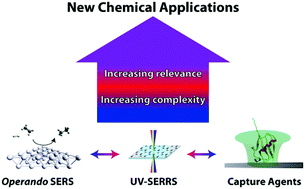 Graphical abstract: Expanding applications of SERS through versatile nanomaterials engineering