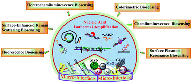 Graphical abstract: Optical nano-biosensing interface via nucleic acid amplification strategy: construction and application