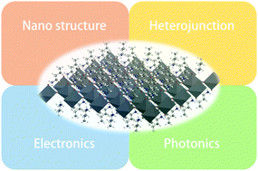 Graphical abstract: Two-dimensional halide perovskite nanomaterials and heterostructures