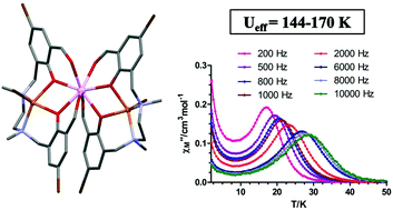 Graphical abstract: The effect of the disposition of coordinated oxygen atoms on the magnitude of the energy barrier for magnetization reversal in a family of linear trinuclear Zn–Dy–Zn complexes with a square-antiprism DyO8 coordination sphere