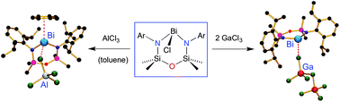 Graphical abstract: Neutral and cationic bismuth compounds supported by bis(amidodimethyl)disiloxane ligands