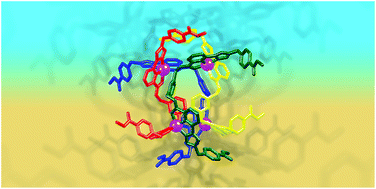 Graphical abstract: A folded [2 × 2] metallo-supramolecular grid from a bis-tridentate (1,2,3-triazol-4-yl)-picolinamide (tzpa) ligand