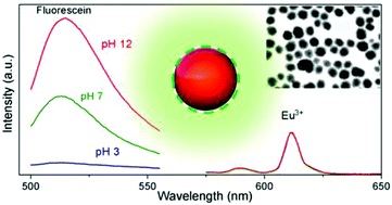 Graphical abstract: Europium-doped NaGd(WO4)2 nanophosphors: synthesis, luminescence and their coating with fluorescein for pH sensing