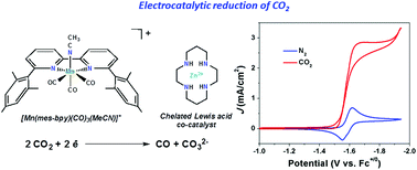 Graphical abstract: Chelated [Zn(cyclam)]2+ Lewis acid improves the reactivity of the electrochemical reduction of CO2 by Mn catalysts with bulky bipyridine ligands