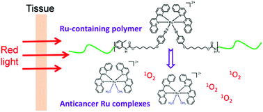 Graphical abstract: Photoresponsive ruthenium-containing polymers: potential polymeric metallodrugs for anticancer phototherapy