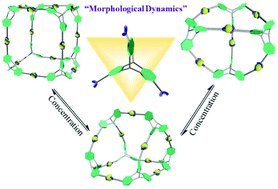 Graphical abstract: Concentration dependent supramolecular interconversions of triptycene-based cubic, prismatic, and tetrahedral structures