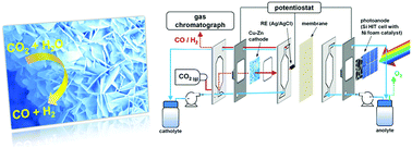 Graphical abstract: A prototype reactor for highly selective solar-driven CO2 reduction to synthesis gas using nanosized earth-abundant catalysts and silicon photovoltaics