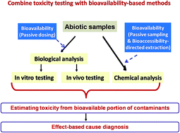 Graphical abstract: Improving the accuracy of effect-directed analysis: the role of bioavailability