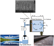 Graphical abstract: A conductive wood membrane anode improves effluent quality of microbial fuel cells