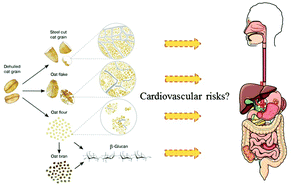 Graphical abstract: Processing of oat: the impact on oat's cholesterol lowering effect