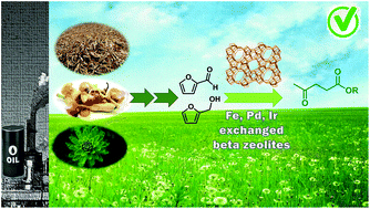 Graphical abstract: Metal-exchanged magnetic β-zeolites: valorization of lignocellulosic biomass-derived compounds to platform chemicals