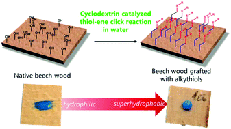 Graphical abstract: A straightforward thiol–ene click reaction to modify lignocellulosic scaffolds in water