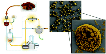 Graphical abstract: Closed cycle production of concentrated and dry redispersible colloidal lignin particles with a three solvent polarity exchange method