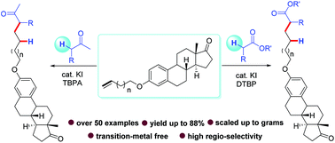 Graphical abstract: A KI-mediated radical anti-Markovnikov addition of simple ketones/esters to unactivated alkenes