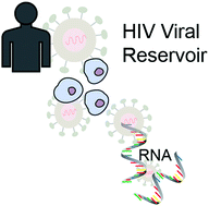 Graphical abstract: RNA-mediated TILDA for improved cell capacity and enhanced detection of multiply-spliced HIV RNA