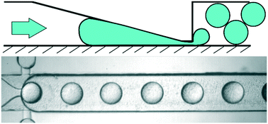 Graphical abstract: A passive microfluidic system based on step emulsification allows the generation of libraries of nanoliter-sized droplets from microliter droplets of varying and known concentrations of a sample