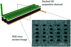 Graphical abstract: Custom 3D printer and resin for 18 μm × 20 μm microfluidic flow channels