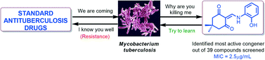 Graphical abstract: The synthesis, biological evaluation and structure–activity relationship of 2-phenylaminomethylene-cyclohexane-1,3-diones as specific anti-tuberculosis agents