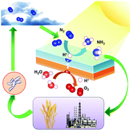 Graphical abstract: Photocatalytic fixation of nitrogen to ammonia: state-of-the-art advancements and future prospects