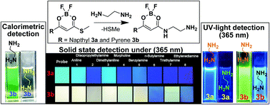Graphical abstract: Fluorescent β-ketothiolester boron complex: substitution based “turn-off” or “ratiometric” sensor for diamine