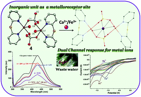 Graphical abstract: A uniquely fabricated Cu(ii)-metallacycle as a reusable highly sensitive dual-channel and practically functional metalloreceptor for Fe3+ and Ca2+ ions: an inorganic site of cation detection