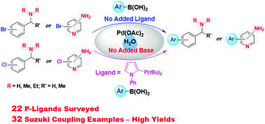 Graphical abstract: Pd-Catalyzed Suzuki coupling reactions of aryl halides containing basic nitrogen centers with arylboronic acids in water in the absence of added base