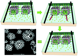 Graphical abstract: Deposition of Au nanoparticles inside porous CeO2 nanocubes using Langmuir–Blodgett technique