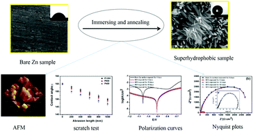 Graphical abstract: A robust and repairable superhydrophobic Co5Zn21 alloy surface on a zinc substrate
