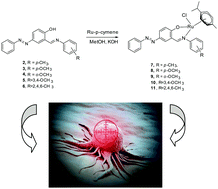 Graphical abstract: Antiproliferative, antioxidant, computational and electrochemical studies of new azo-containing Schiff base ruthenium(ii) complexes